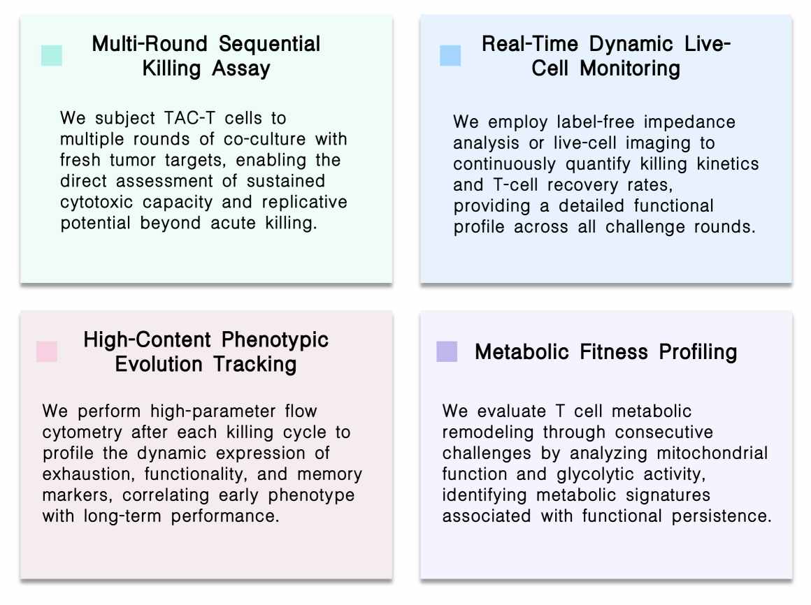 Featured services of recursive tumor cell killing assay service at Creative Biolabs. (Creative Biolabs Original)
