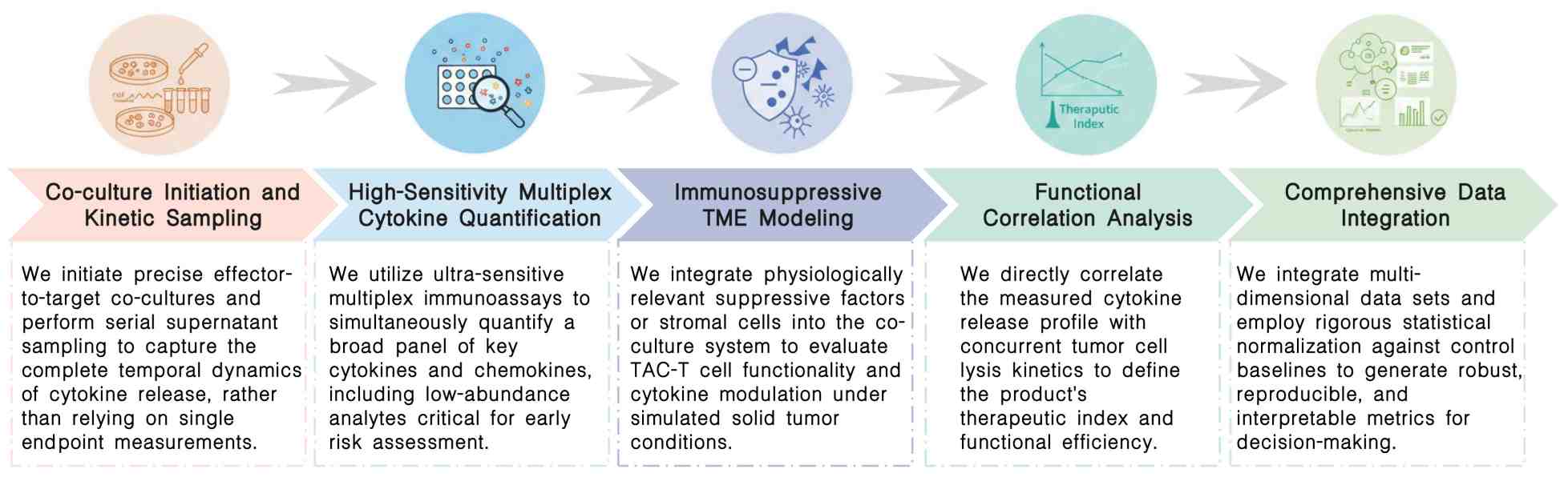 Workflow of controlled cytokine release profiling service at Creative Biolabs. (Creative Biolabs Original)