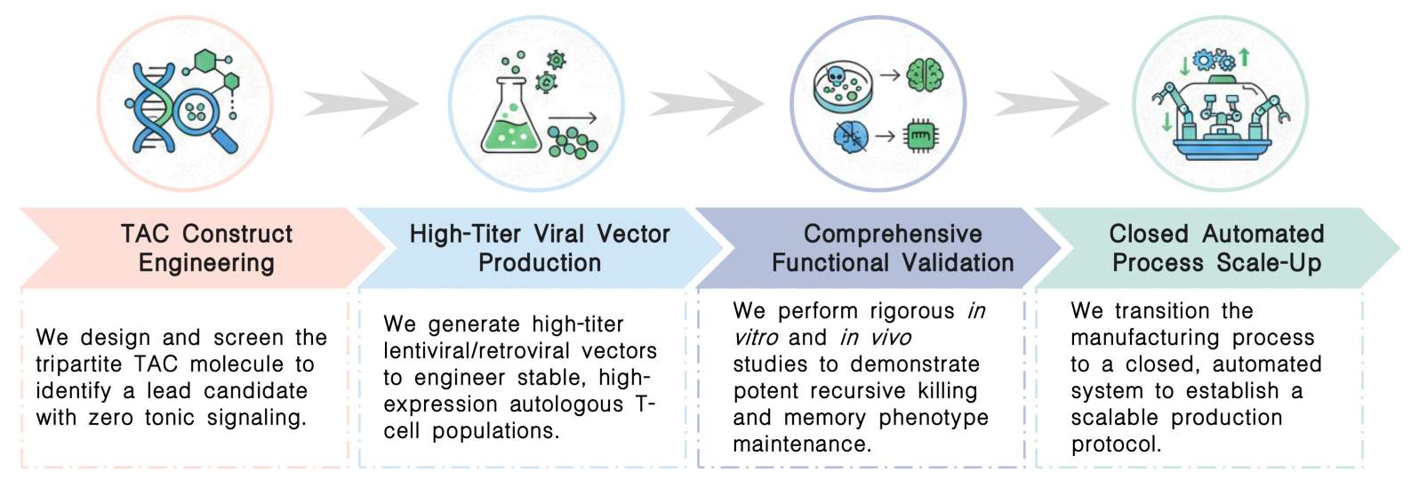 Workflow of one-stop autologous TAC-T development services at Creative Biolabs. (Creative Biolabs Original)