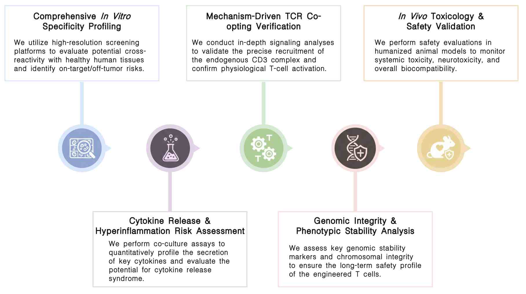 Workflow of off-target reactivity assessment service at Creative Biolabs. (Creative Biolabs Original)