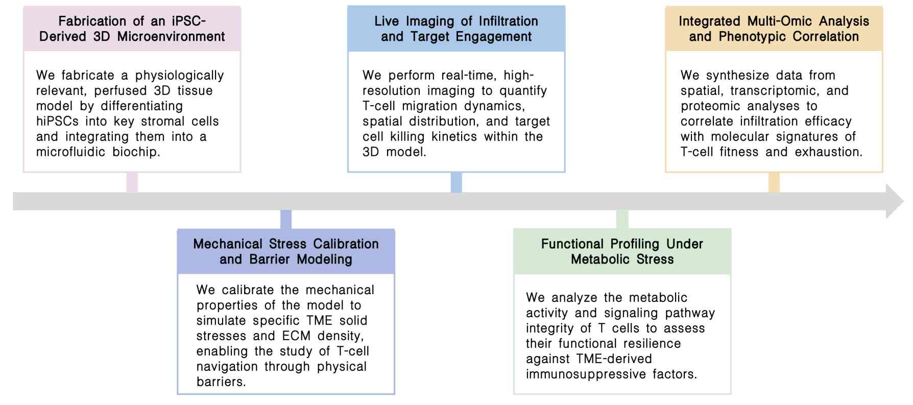 Workflow of TME penetration & functional analysis service at Creative Biolabs. (Creative Biolabs Original)