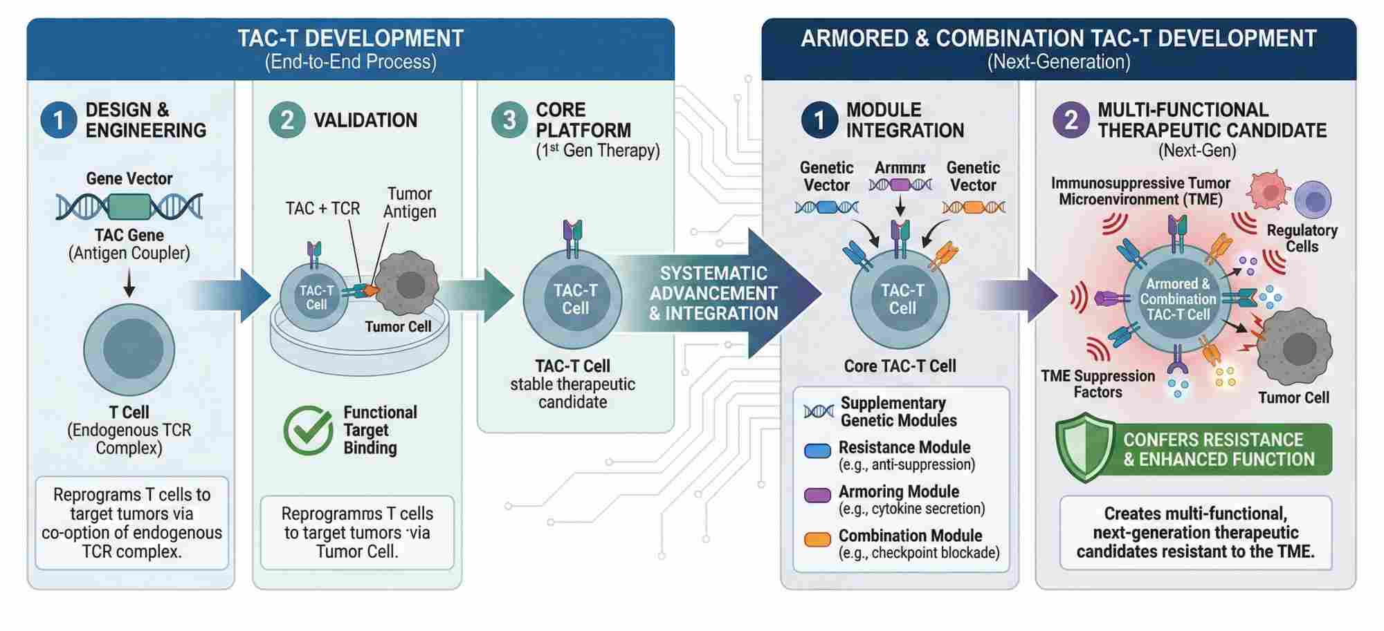 Fig.1 Engineering armored & combinatorial T cell antigen coupler platforms. (Creative Biolabs Original)