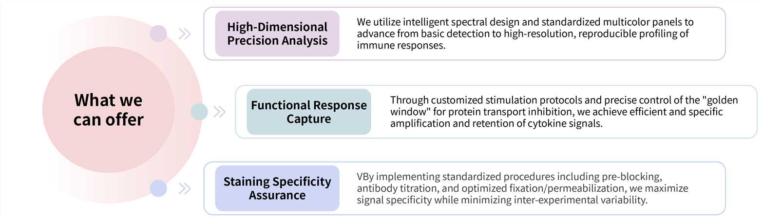 Featured services of ICS analysis service. (Creative Biolabs Original)