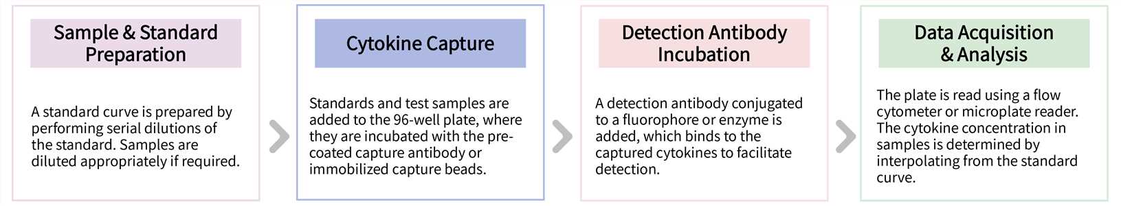 Workflow of ELISA and cytometric bead array-based cytokine analysis service. (Creative Biolabs Original)
