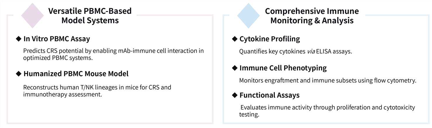 Workflow of human PBMC model development service. (Creative Biolabs Original)