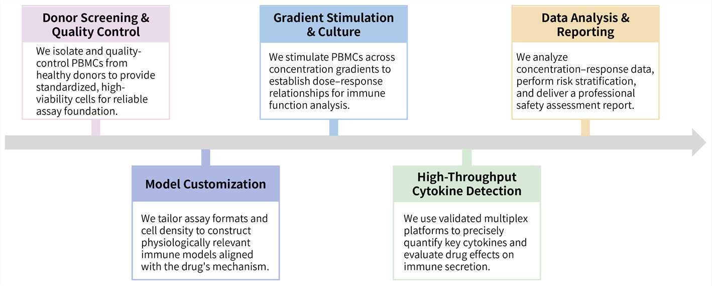 Workflow of human PBMC model development service. (Creative Biolabs Original)