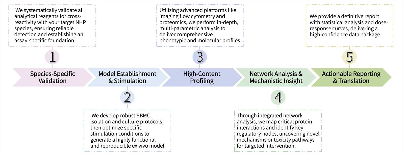 Workflow of NHP PBMC model development service. (Creative Biolabs Original)