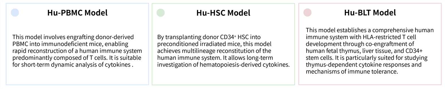 Featured services of donor-dependent in vivo mouse model development. (Creative Biolabs Original)