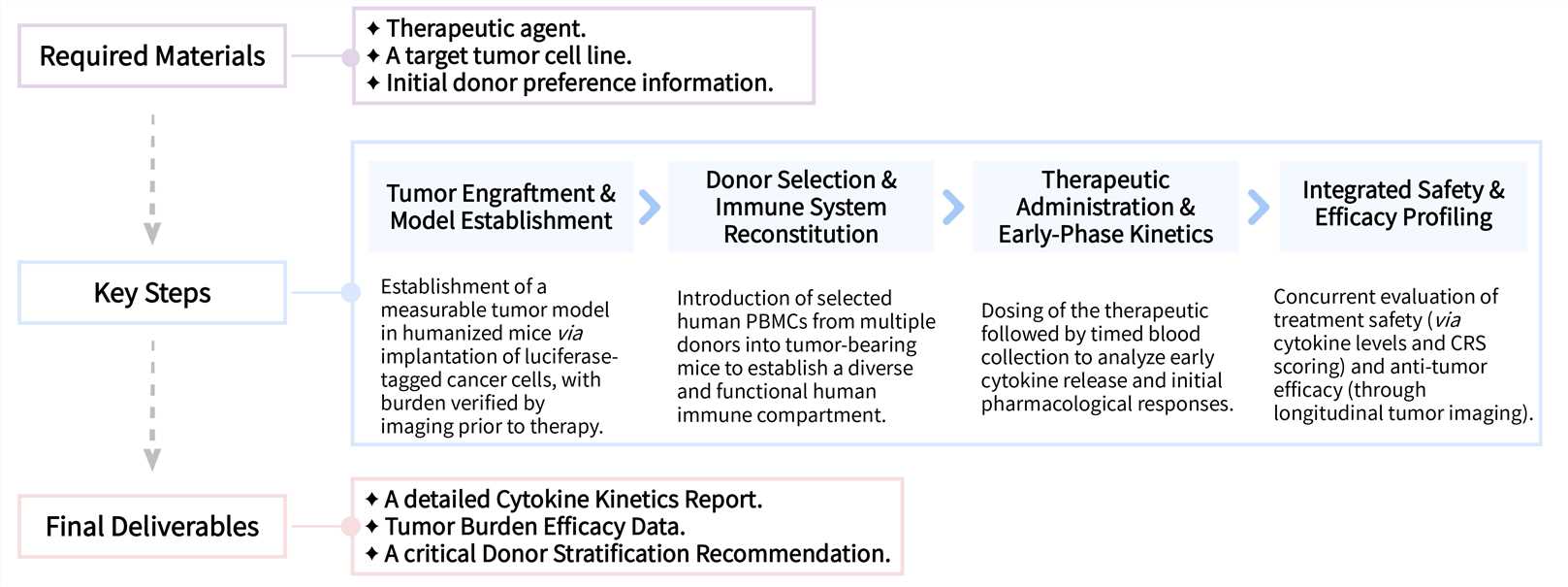 Workflow of donor-dependent in vivo mouse model development. (Creative Biolabs Original)