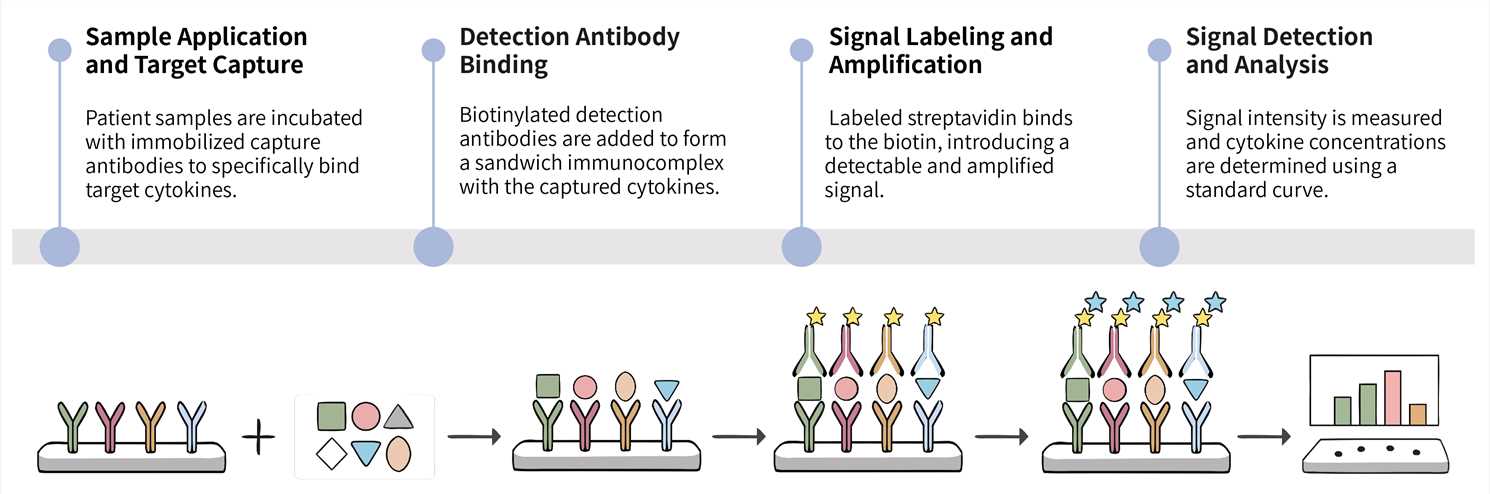 Workflow of antibody array platform for CRS cytokine analysis. (Creative Biolabs Original)