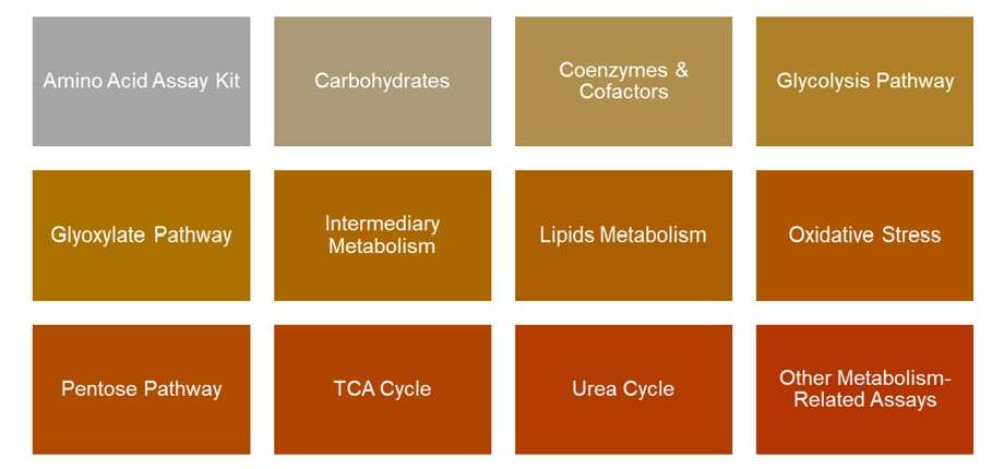 Our metabolism assays categories.