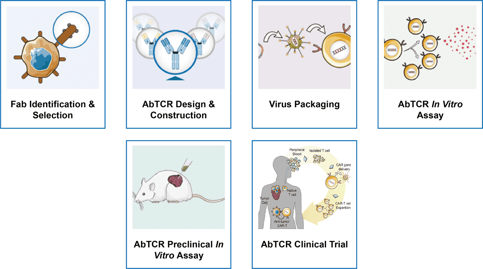 CellRapeutics™ Antibody-TCR (AbTCR) Technology