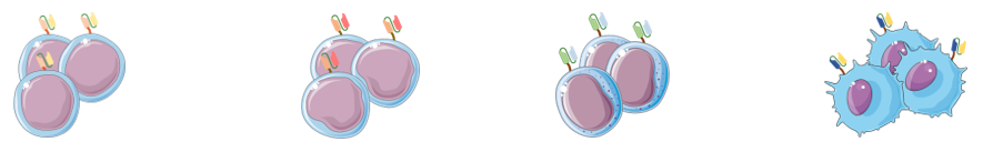 The type of CAR vector. (Creative Biolabs Original)