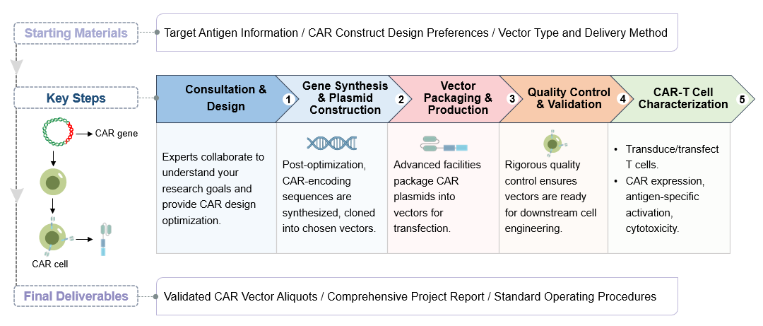 The workflow of CAR vector production. (Creative Biolabs Original)