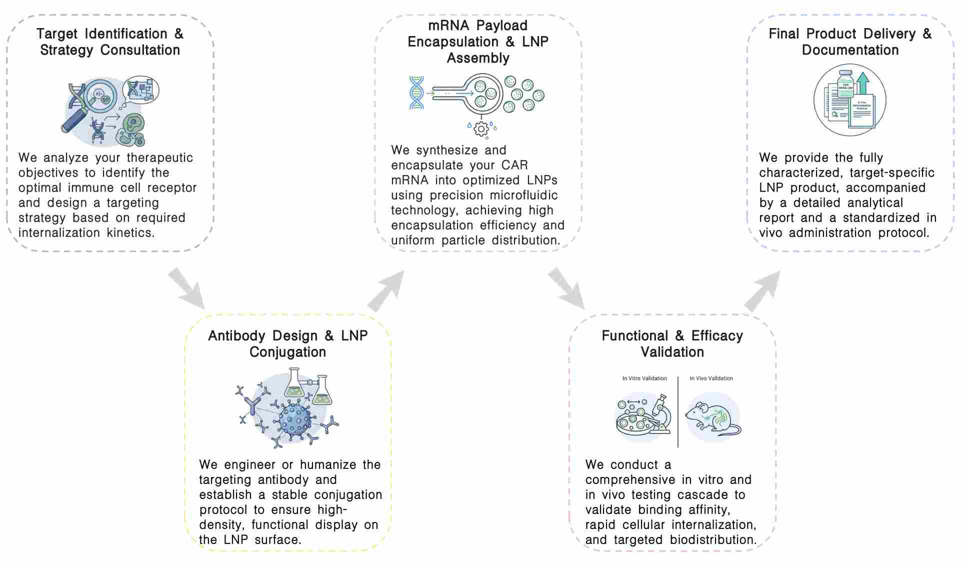 Workflow of CAR mRNA-LNP conjugated antibody products at Creative Biolabs. (Creative Biolabs Original)