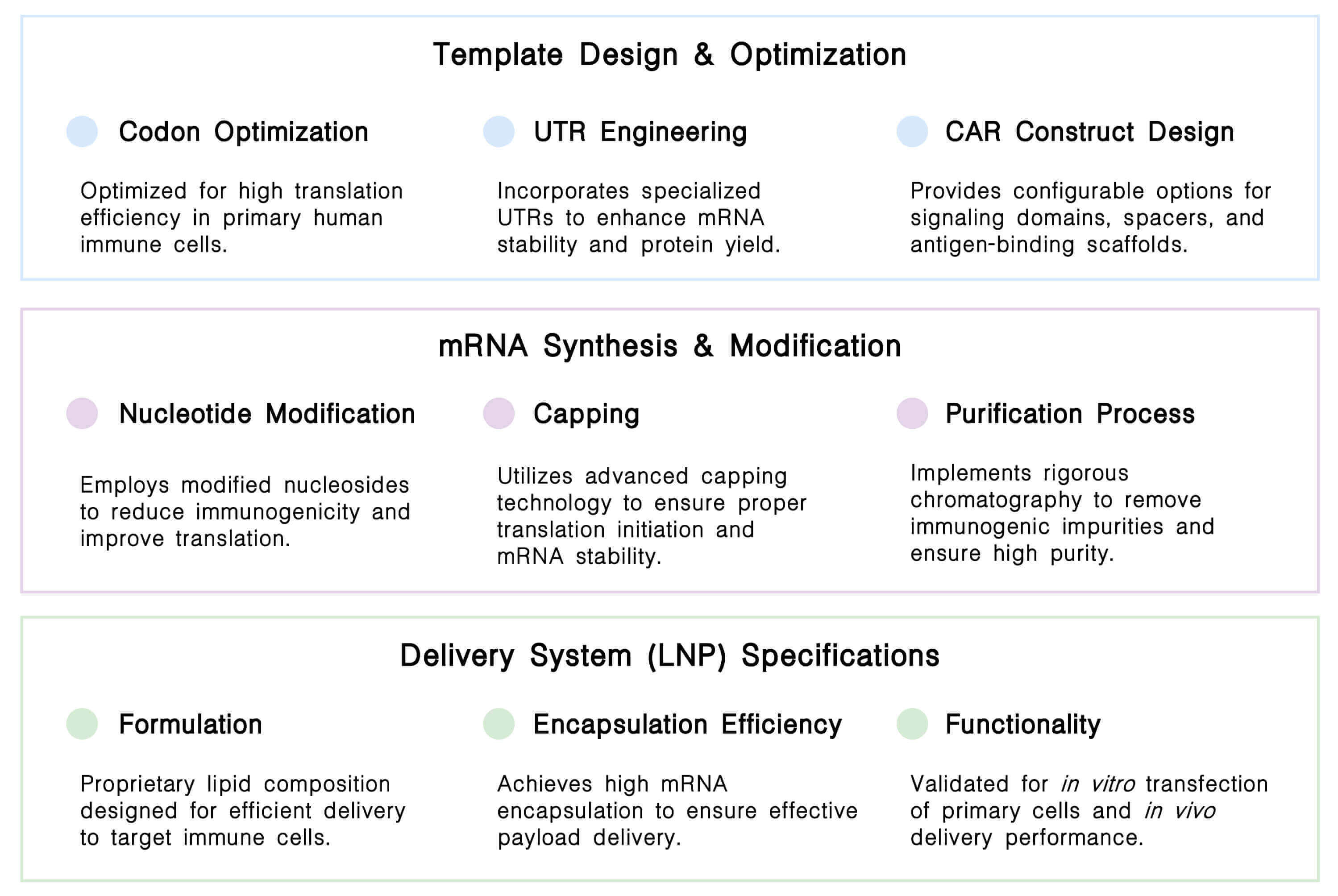 Technical information of CAR IVT Products at Creative Biolabs. (Creative Biolabs Original)