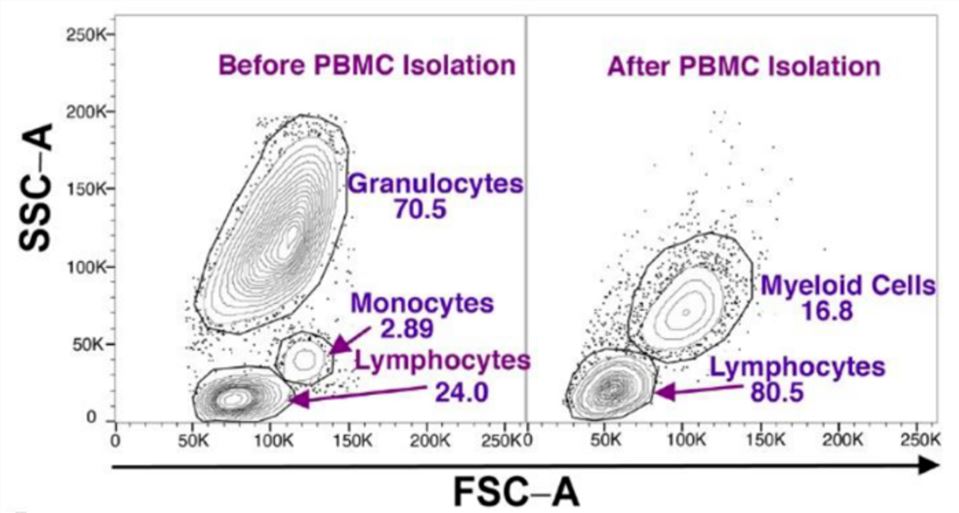 PBMC subsets identified by flow cytometry analysis