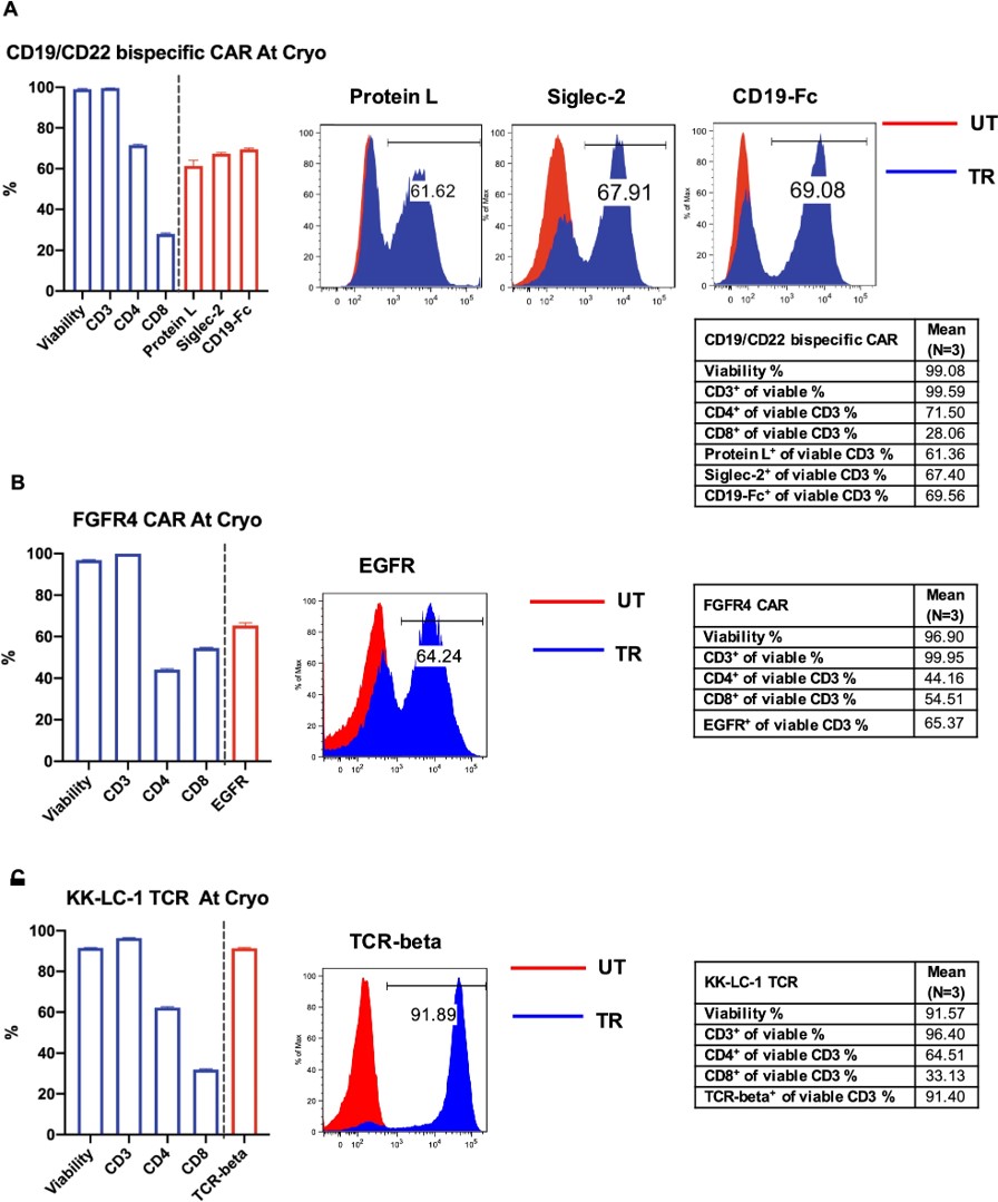 Fig.1 CAR/TCR T-cell flow cytometry quality control cells. (Cai, et al., 2021)