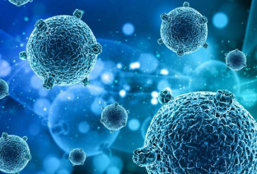 The Core Products of CAR Kit. (Creative Biolabs Original)