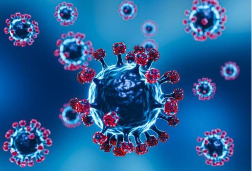 The Core Products of CAR Kit. (Creative Biolabs Original)