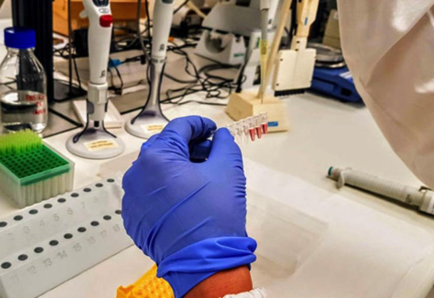 The Core Products of CAR Kit. (Creative Biolabs Original)