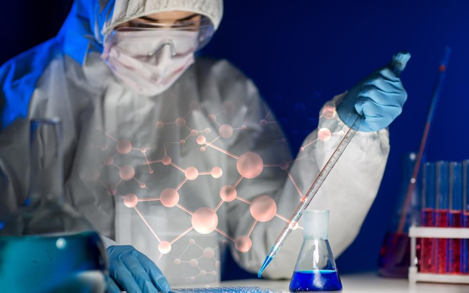 The Core Products of CAR Kit. (Creative Biolabs Original)