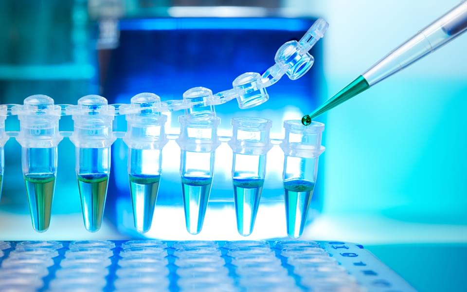 The Core Products of CAR Kit. (Creative Biolabs Original)