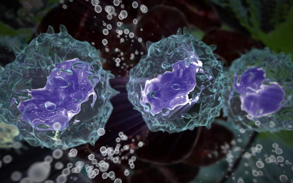 The Core Products of CAR Kit. (Creative Biolabs Original)