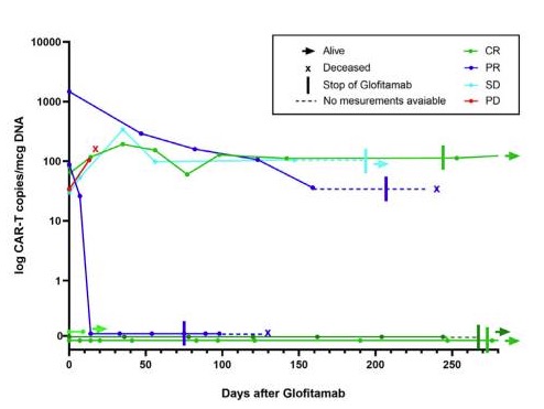 CAR T cell copy/mcg DNA after glofitamab treatment.