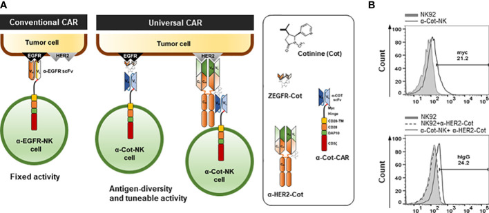Development of a universal cotinine-based CAR-NK92 cell platform for multiplexed tumor targeting. (OA Literature)