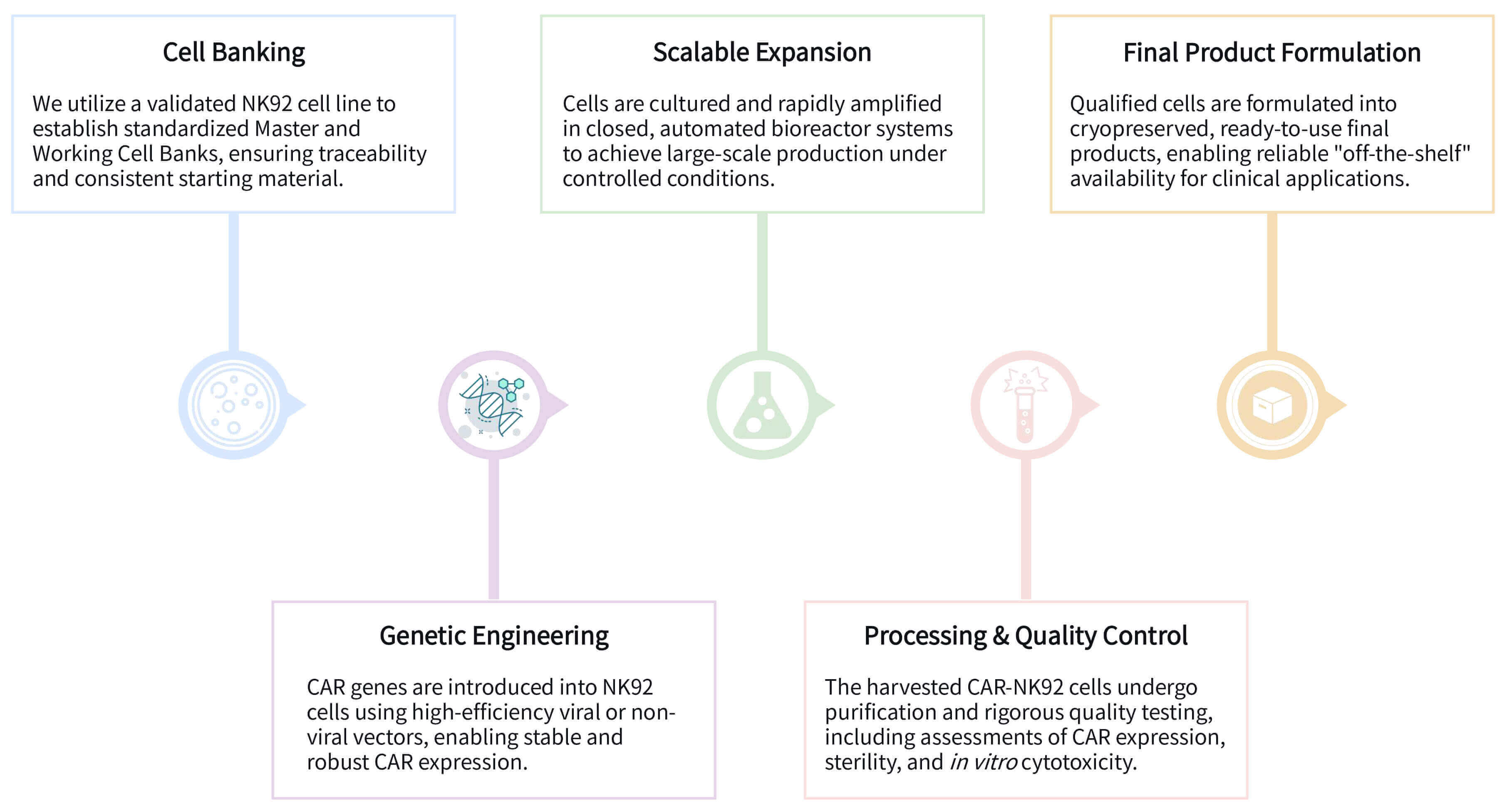 Manufacturing Process of CAR-NK92 cell products. (Creative Biolabs Original)