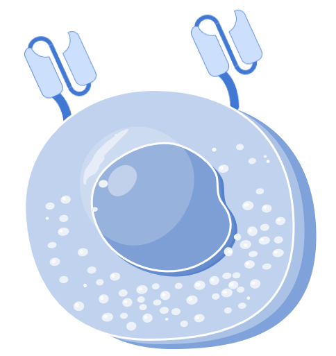CAR Cell Types Available. (Creative Biolabs Original)