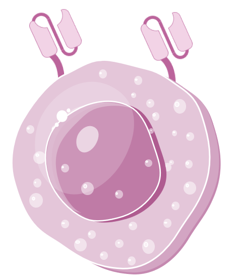 CAR Cell Types Available. (Creative Biolabs Original)