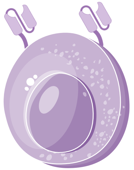 CAR Cell Types Available. (Creative Biolabs Original)