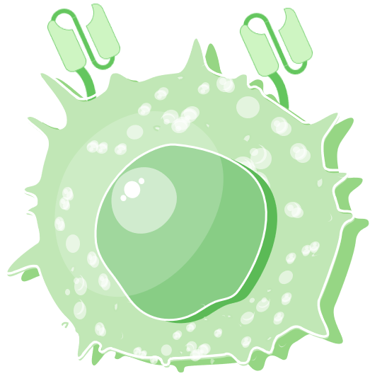 CAR Cell Types Available. (Creative Biolabs Original)