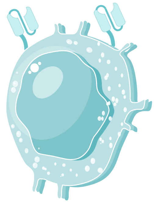 CAR Cell Types Available. (Creative Biolabs Original)