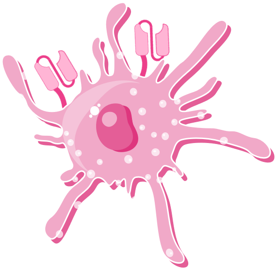 CAR Cell Types Available. (Creative Biolabs Original)