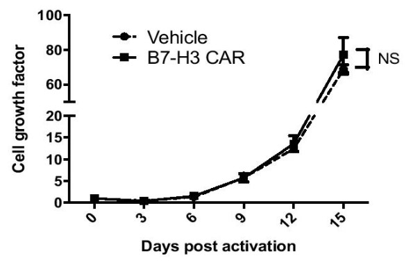 Fig.2 Proliferation testing of anti-B7H3 CAR-T cells under the CD3/CD28 beads activation. (Liu, et al., 2021)