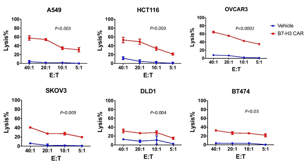 Fig.5 In vitro cytotoxicity assay of anti-B7H3 CAR-T (red line) against 6 different tumor target cells at the indicated E:T ratio. (Liu, et al., 2021)