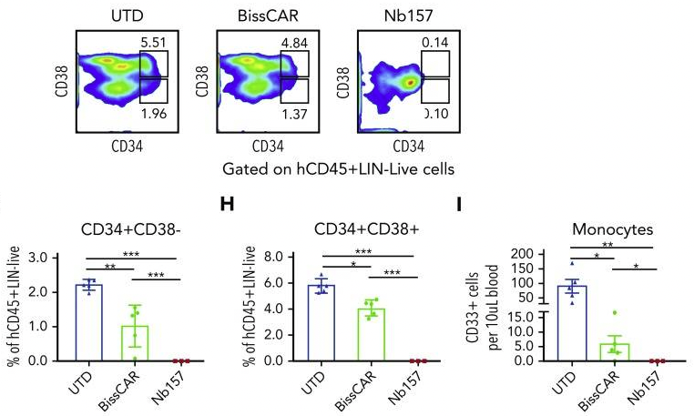 Fig.5 Hematopoietic toxicity of CD13/HAVCR2 CAR T cells in humanized immune system (HIS) mice. (He, et al., 2020)