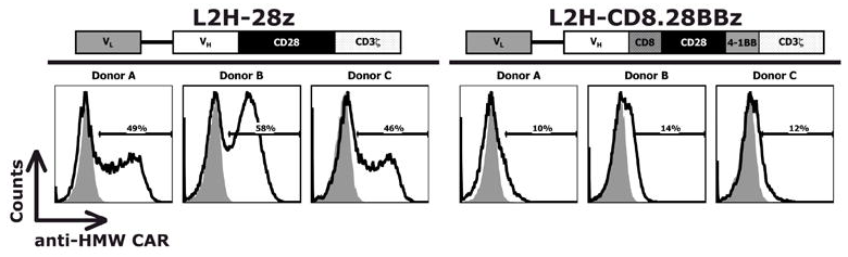 Fig.2 Optimized HMW-MAA-specific CAR expression levels in PBL. (Burns, et al., 2010)