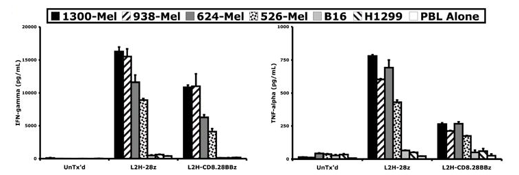 Fig.3 Cytokine release levels of optimized HMW-MAA-specific CAR. (Burns, et al., 2010)