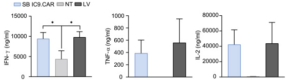 Fig.4 Secretion of pro-inflammatory cytokines in CD117 CAR T cells. (Magnani, et al, 2023)