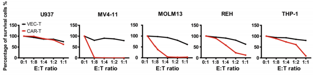Fig.3 Cytotoxicity of FLT3L CAR-T against FLT3+ or FLT3- AML cell lines. (Wang, et al., 2018)