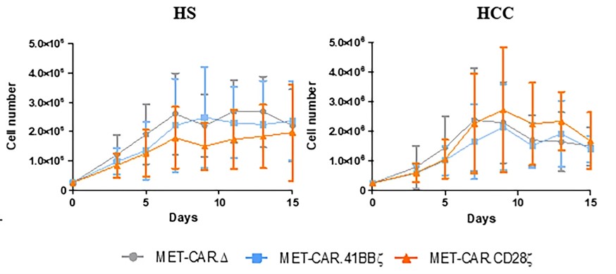 Fig.2 In vitro growth curves of anti-c-Met CAR-T cells. (Qin, et al., 2023)