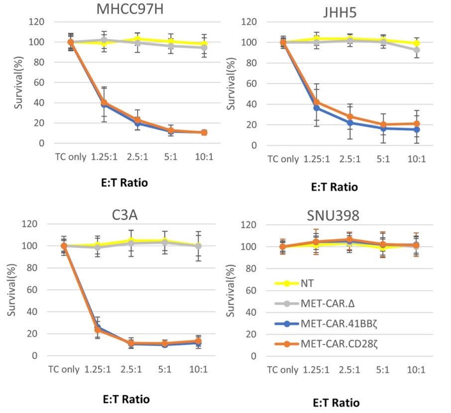 Fig.4 The cell killing activity of anti-c-Met CAR-T against Met-positive tumor cells and SNU398 (Met negative) tumor cells. (Qin, et al., 2023)