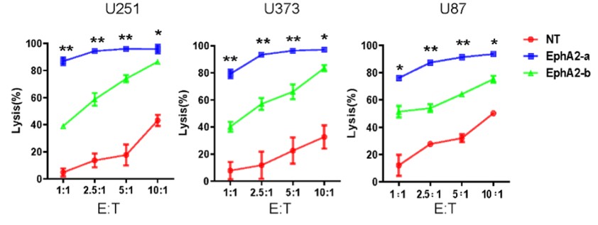 In vitro anti-tumor effects assessment of different anti-EphA2 CART cells co-cultured with 3 different tumor cells at indicated E:T ratios by luciferase activity detection. (An, et al., 2021)