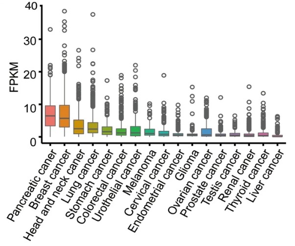 FAP expression analysis in Pan-cancer.