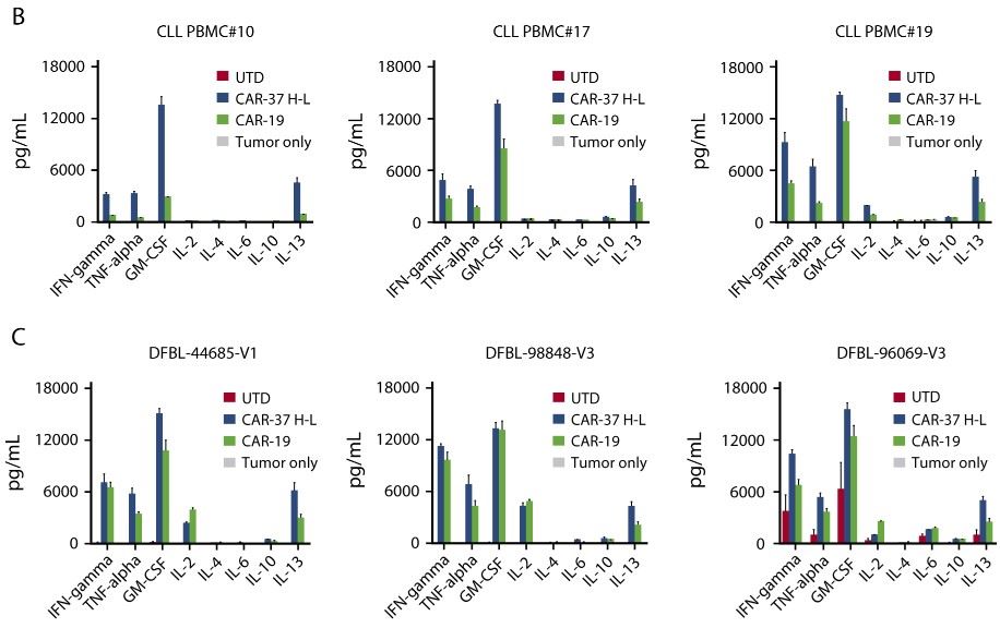 Cytokine array analysis of CD37 CAR-T cells co-cultured with CLL (B) or MCL (C) tumor cells at a 1:1 E:T ratio.