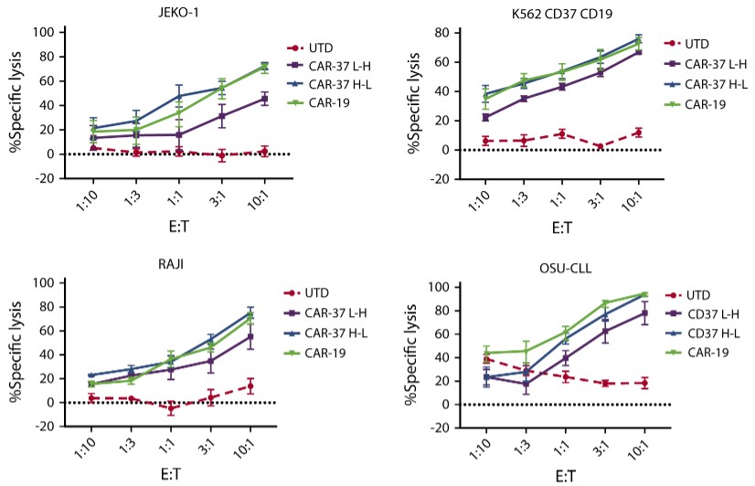 In vitro cytotoxicity analysis of CD37 CAR-T against different target cells with indicated E:T ratios. (Scarfò, et al., 2018)